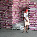 riceWorker photo by Joan-Santos